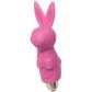 Rocks Off Bunny Klitoris-Vibrator